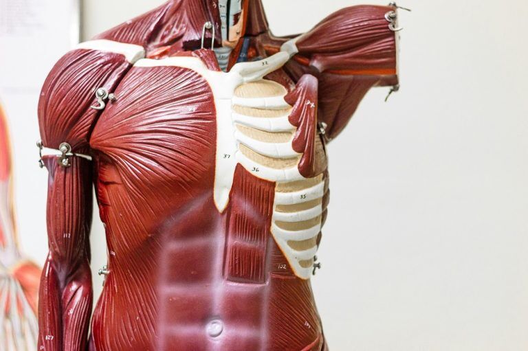 Osha guidelines on recording musculoskeletal treatments